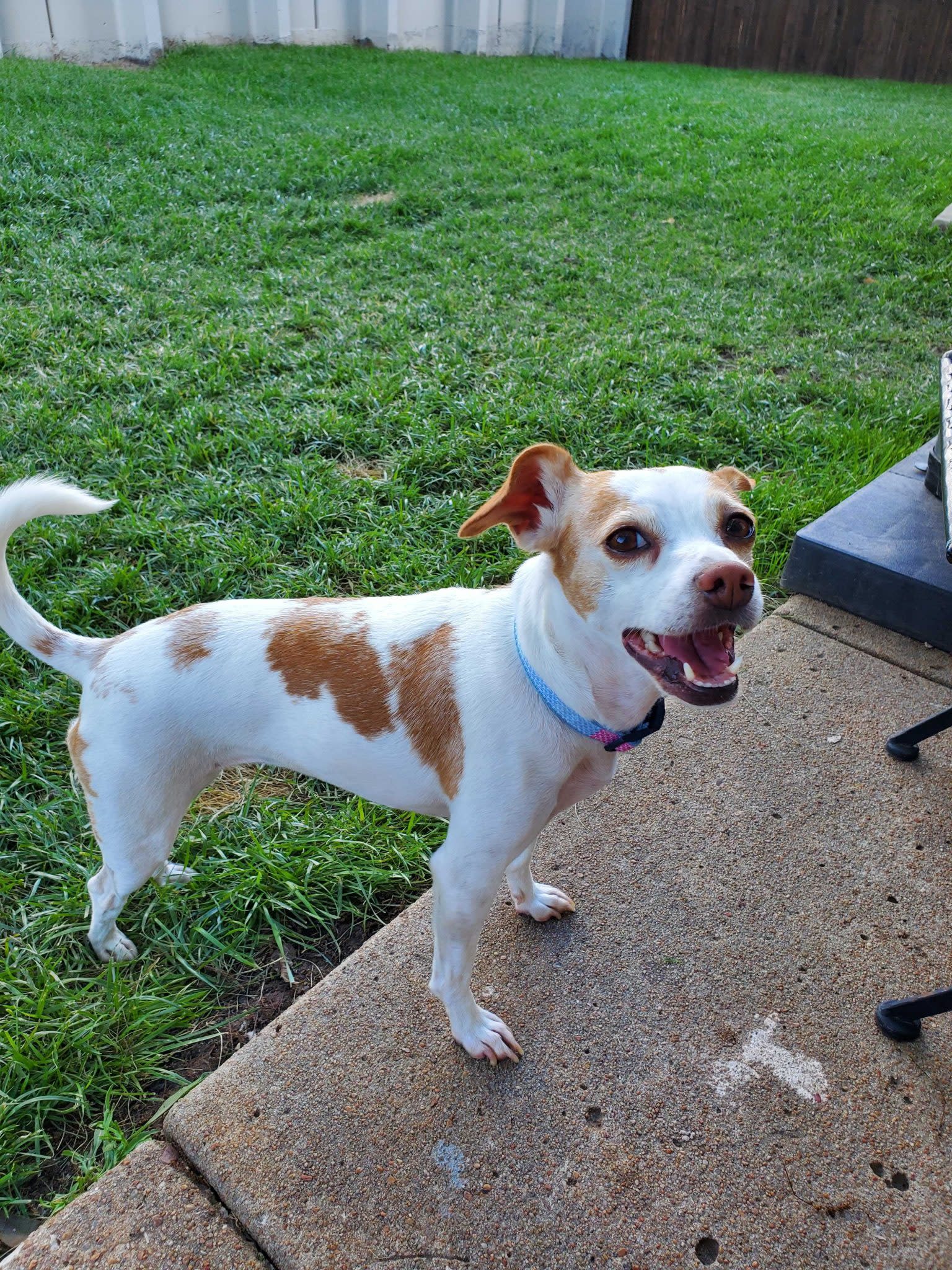 Asset migrated from Webflow