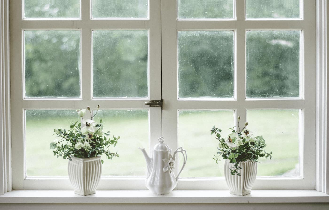 plants on windowsill