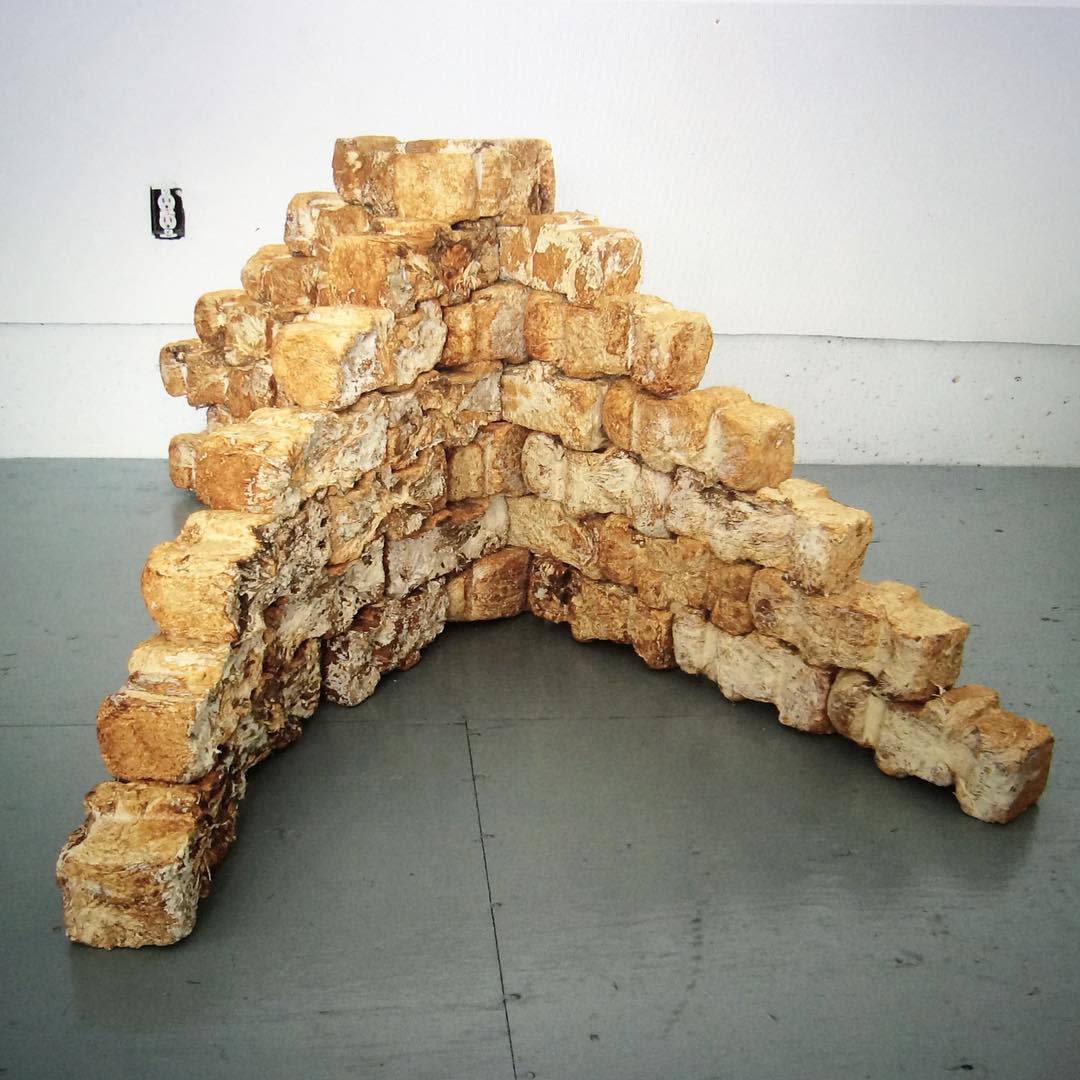 When properly grown, mushrooms can be hard enough to be turned into bricks. (Credit:&nbsp;MycoWorks)