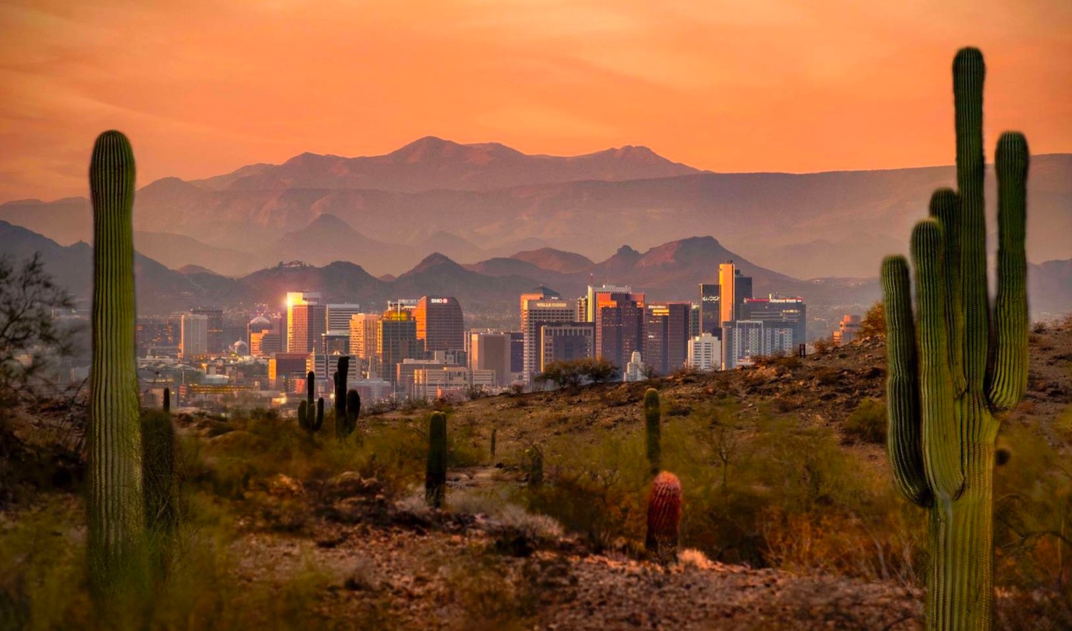 Phoenix, sunset, cactus Mynd Rental property management company